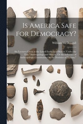 bokomslag Is America Safe for Democracy?