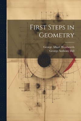 bokomslag First Steps in Geometry