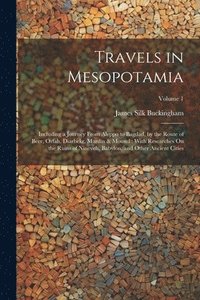 bokomslag Travels in Mesopotamia