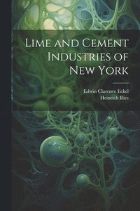 bokomslag Lime and Cement Industries of New York
