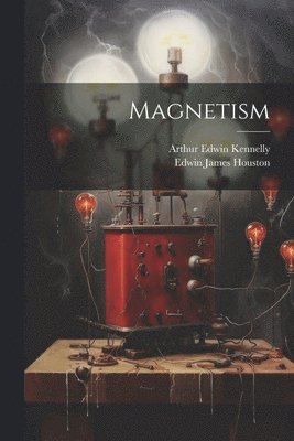 bokomslag Magnetism