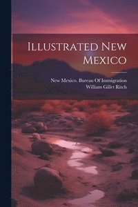 bokomslag Illustrated New Mexico