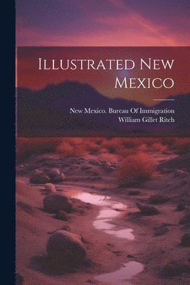 bokomslag Illustrated New Mexico