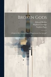 bokomslag Broken Gods