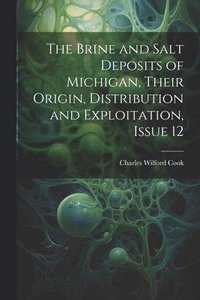 bokomslag The Brine and Salt Deposits of Michigan, Their Origin, Distribution and Exploitation, Issue 12