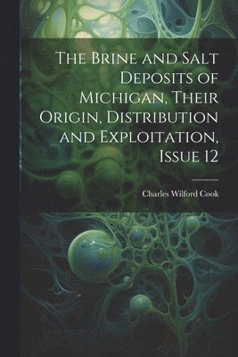 bokomslag The Brine and Salt Deposits of Michigan, Their Origin, Distribution and Exploitation, Issue 12