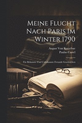 bokomslag Meine Flucht Nach Paris Im Winter 1790