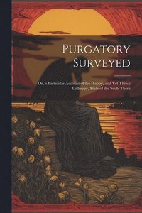 bokomslag Purgatory Surveyed