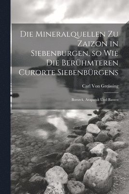 Mineralquellen zu Zaizon in Siebenburgen, so wie die Berühmteren Curorte Siebenbürgens