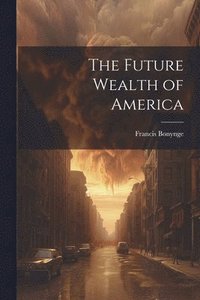 bokomslag The Future Wealth of America