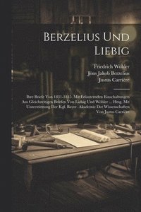 bokomslag Berzelius Und Liebig