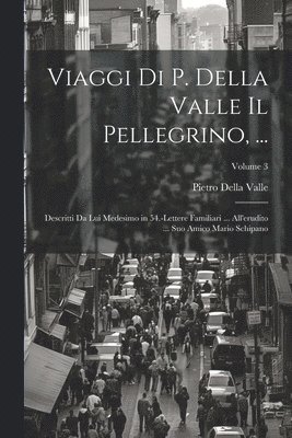 bokomslag Viaggi Di P. Della Valle Il Pellegrino, ...