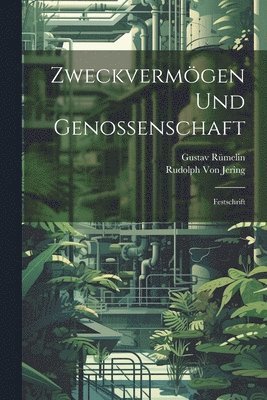 bokomslag Zweckvermgen Und Genossenschaft