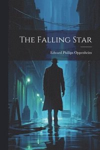 bokomslag Falling Star