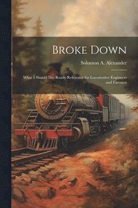 bokomslag Broke Down