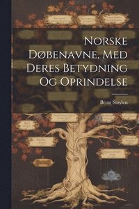 bokomslag Norske Døbenavne, Med Deres Betydning Og Oprindelse