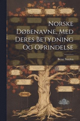 bokomslag Norske Døbenavne, Med Deres Betydning Og Oprindelse