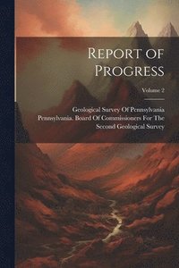 bokomslag Report of Progress; Volume 2