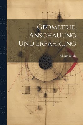 bokomslag Geometrie, Anschauung Und Erfahrung