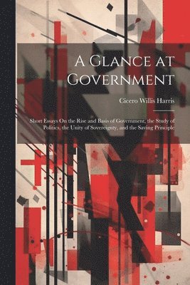 bokomslag Glance at Government