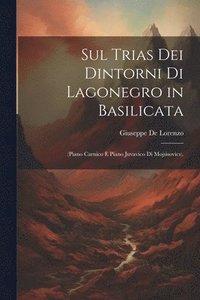 bokomslag Sul Trias Dei Dintorni Di Lagonegro in Basilicata