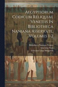 bokomslag Aegyptiorum Codicum Reliquiae Venetiis In Bibliotheca Naniana Asservate, Volumes 1-2