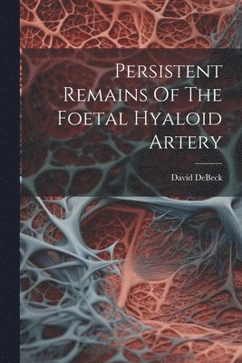 bokomslag Persistent Remains Of The Foetal Hyaloid Artery