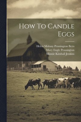 How To Candle Eggs 1