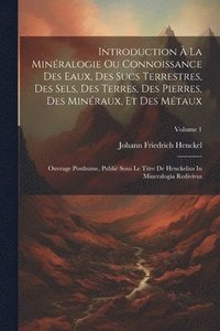 bokomslag Introduction  La Minralogie Ou Connoissance Des Eaux, Des Sucs Terrestres, Des Sels, Des Terres, Des Pierres, Des Minraux, Et Des Mtaux