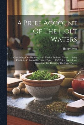 bokomslag Brief Account Of The Holt Waters