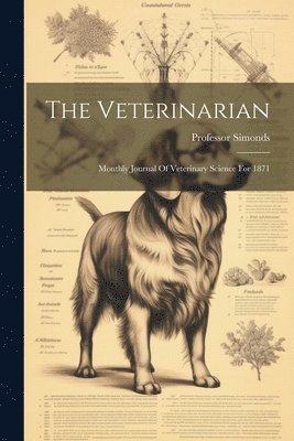 The Veterinarian 1