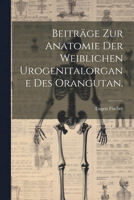 bokomslag Beitrge zur Anatomie der weiblichen Urogenitalorgane des Orangutan.