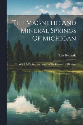 bokomslag Magnetic And Mineral Springs Of Michigan