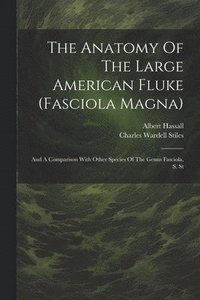 bokomslag The Anatomy Of The Large American Fluke (fasciola Magna)