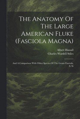 The Anatomy Of The Large American Fluke (fasciola Magna) 1