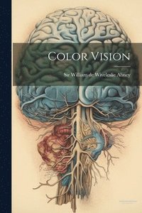 bokomslag Color Vision