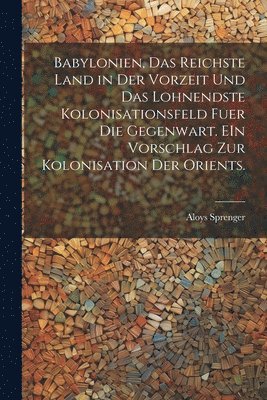 Aloys Sprenger - Babylonien, das reichste Land in der Vorzeit und das lohnendste Kolonisationsfeld fuer die Gegenwart. EIn Vorschlag zur kolonisation der Orients., Häftad