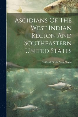 bokomslag Ascidians Of The West Indian Region And Southeastern United States