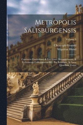 Metropolis Salisburgensis 1