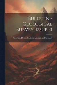 bokomslag Bulletin - Geological Survey, Issue 31