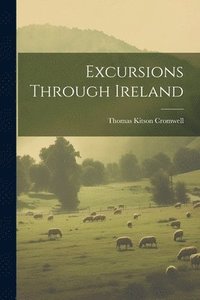 bokomslag Excursions Through Ireland