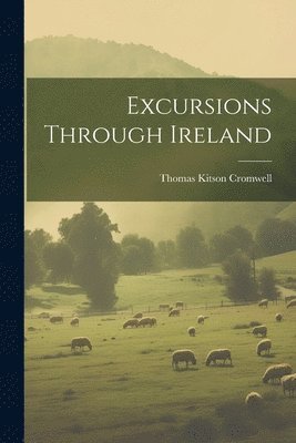 Excursions Through Ireland 1