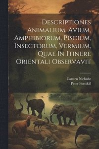 bokomslag Descriptiones Animalium, Avium, Amphibiorum, Piscium, Insectorum, Vermium, Quae In Itinere Orientali Observavit
