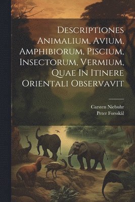 Descriptiones Animalium, Avium, Amphibiorum, Piscium, Insectorum, Vermium, Quae In Itinere Orientali Observavit 1