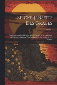 bokomslag Blicke Jenseits Des Grabes