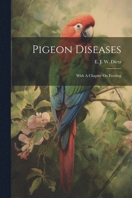 bokomslag Pigeon Diseases