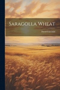 bokomslag Saragolla Wheat