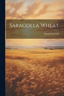 bokomslag Saragolla Wheat