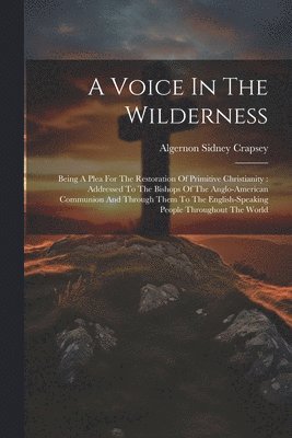 bokomslag Voice In The Wilderness