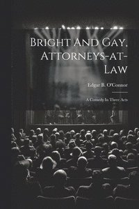 bokomslag Bright And Gay, Attorneys-at-law